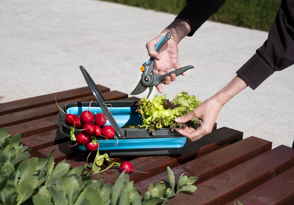 Изображение товара Корзина для сбора урожая Plantic 26260-01