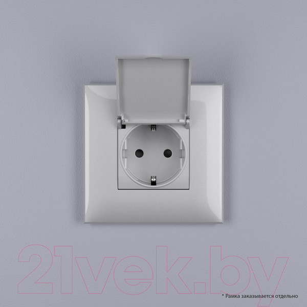 Изображение товара Розетка DKC Avanti / 4404013 (закаленная сталь)