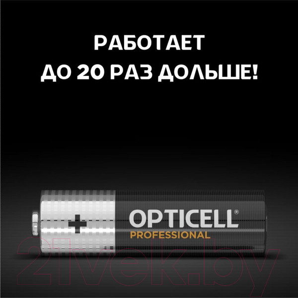 Изображение товара Комплект батареек Opticell Professional AA 5052005 (12шт)