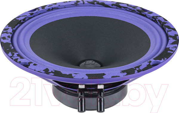 Изображение товара Среднечастотная АС DL Audio Piranha 200 v2