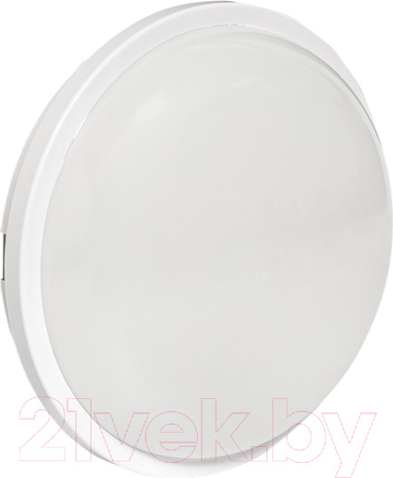 Изображение товара Светильник ЖКХ EKF PROxima BKL-2400DM-R-12-4000