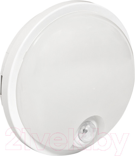 Изображение товара Светильник ЖКХ EKF PROxima BKL-2300DI-R-15-4000