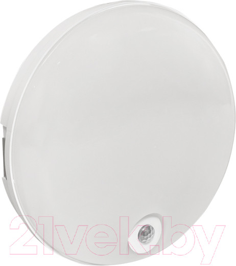 Изображение товара Светильник ЖКХ EKF PROxima BKL-2200DI-R-12-6500
