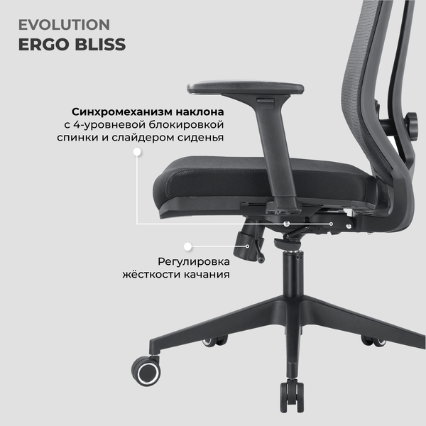Изображение товара Кресло офисное Evolution Ergo Bliss (черный)