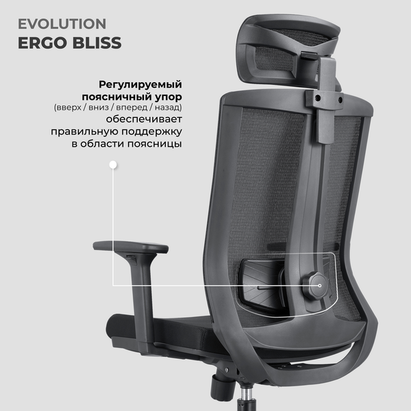 Изображение товара Кресло офисное Evolution Ergo Bliss (черный)