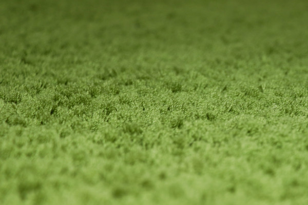 Изображение товара Ковер Витебские ковры Микрофибра 21С1-БК/ЭО 11000 20 (1.6х2.3, светло-зеленый)