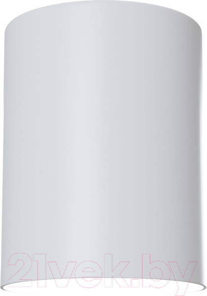 Изображение товара Потолочный светильник Maytoni Alfa C014CL-01W