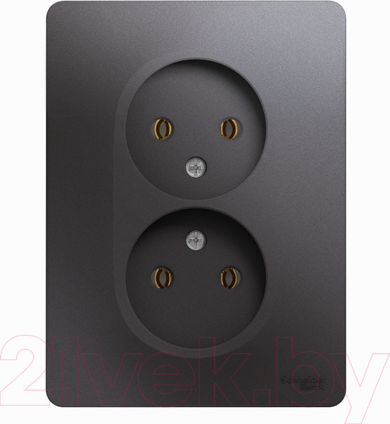 Изображение товара Розетка Systeme (Schneider) Electric Glossa GSL001320