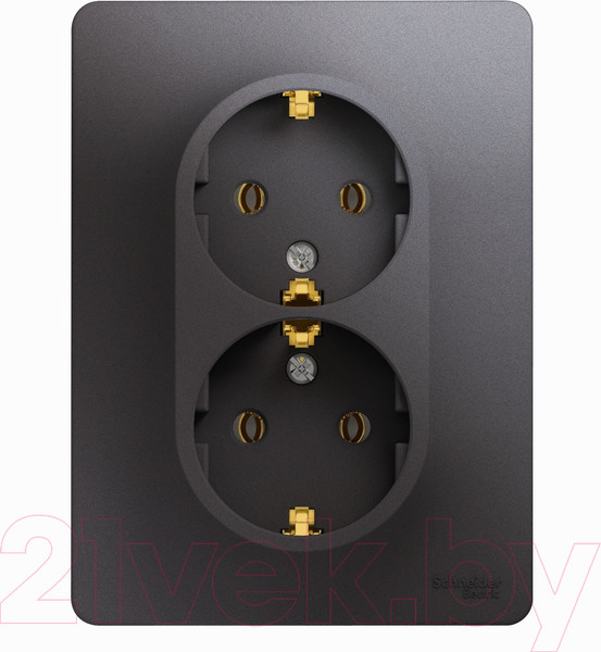 Изображение товара Розетка Systeme (Schneider) Electric Glossa GSL001324