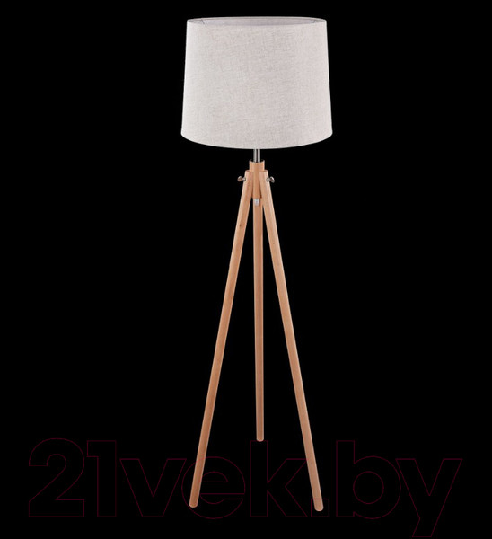 Изображение товара Торшер Maytoni Calvin Z177-FL-01-BR