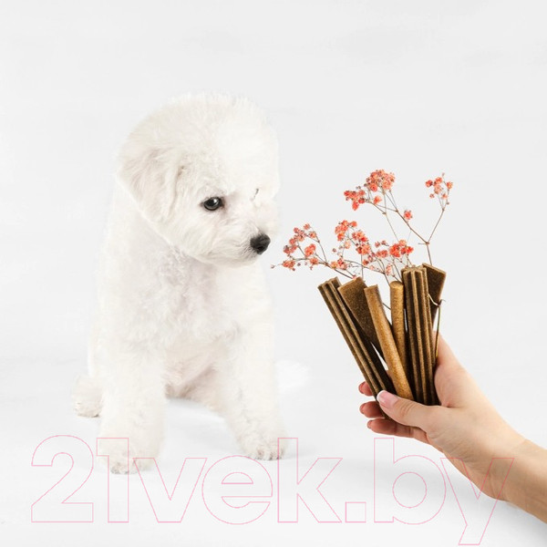 Изображение товара Лакомство для собак Nature's Protection SC White Dogs Hypoallergenic&Dental / KIKNPSC47202 (150г)