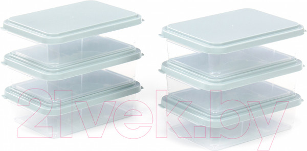 Изображение товара Набор контейнеров Полесье 176x123x50мм с крышками / 73911 (6шт, прозрачный/светло-серый)