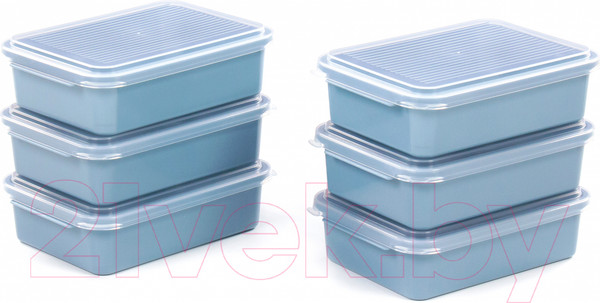 Изображение товара Набор контейнеров Полесье 176x123x50мм с крышками / 73904 (6шт, серо-синий/прозрачный)