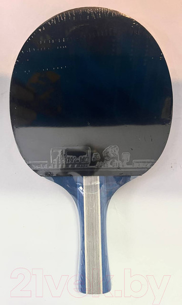 Изображение товара Ракетка для настольного тенниса Sabriasport K7803