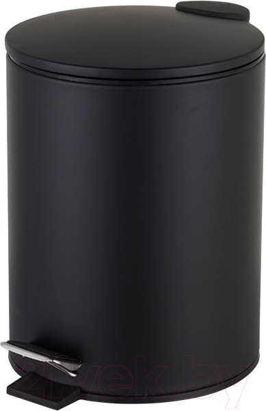 Изображение товара Мусорное ведро Caspian 90021 (3л, черный)