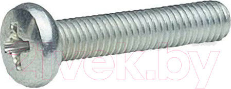 Изображение товара Винт ЕКТ С полуцилиндр. головкой Ph 6x70 DIN7985 прочность 4.8 / VE012757 (25кг, цинк)
