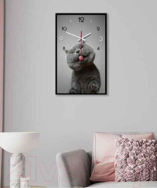Изображение товара Настенные часы Декарт Кот Британец 8Ч0012