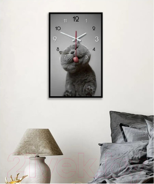 Изображение товара Настенные часы Декарт Кот Британец 8Ч0012