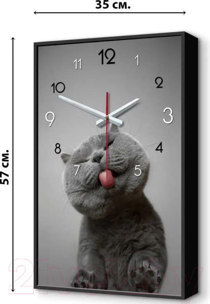 Изображение товара Настенные часы Декарт Кот Британец 8Ч0012