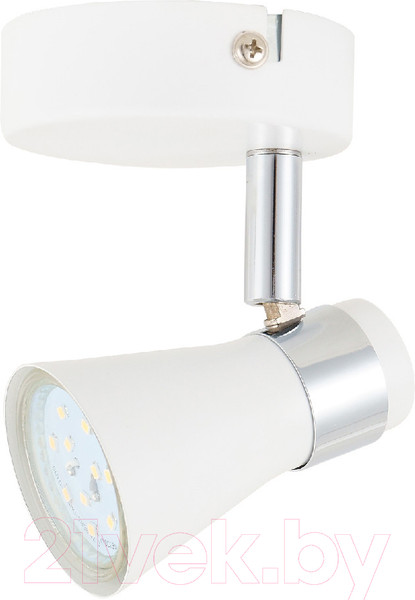 Изображение товара Спот Toplight Regina TL1258Y-01WC