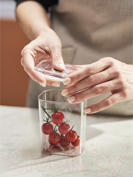 Изображение товара Емкость для хранения Smart Solutions Keep In / SS000079