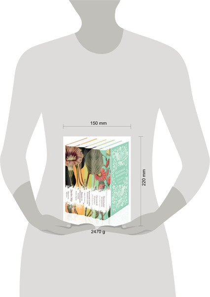 Изображение товара Набор книг Эксмо Коллекция элегантной классики, твердая обложка (Олкотт Луиза Мэй, Бронте Эмили и др.)