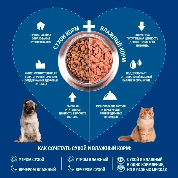 Изображение товара Влажный корм для собак Monge Monoprotein паштет из курицы, консервы (400г)
