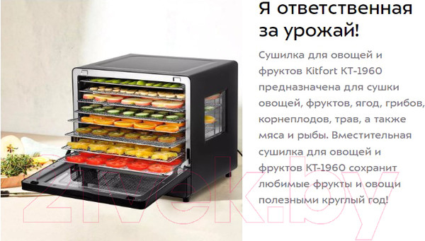 Изображение товара Сушилка для овощей и фруктов Kitfort KT-1960