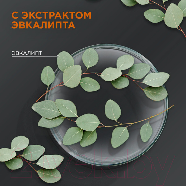 Изображение товара Шампунь-гель для душа Шаума Men Энергия спорта с экстрактом эвкалипта 2в1 (360мл)