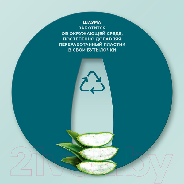 Изображение товара Шампунь для волос Шаума Classic Против перхоти с экстрактом алоэ вера (360мл)