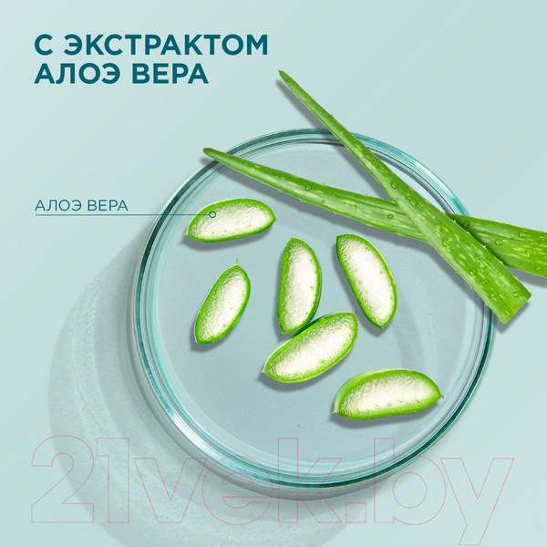 Изображение товара Шампунь для волос Шаума Classic Против перхоти с экстрактом алоэ вера (360мл)