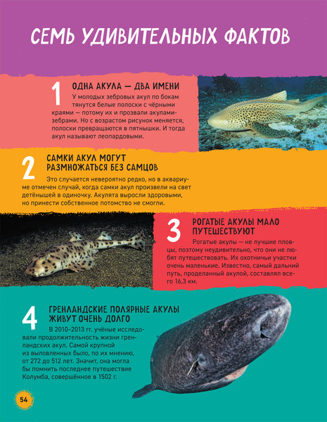 Изображение товара Энциклопедия Росмэн Акулы, твердая обложка