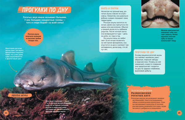 Изображение товара Энциклопедия Росмэн Акулы, твердая обложка