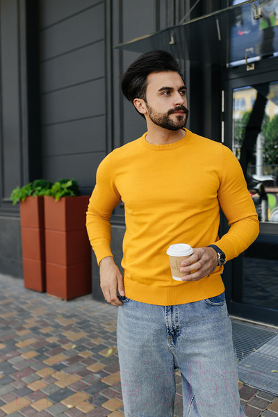 Изображение товара Джемпер Isee SG100066J (р.54, желтый)