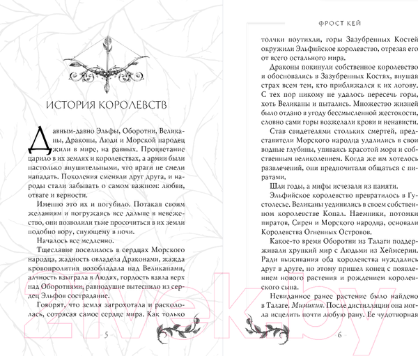 Изображение товара Книга FreeDom Шут / 9785041916534 (Кей Ф.)