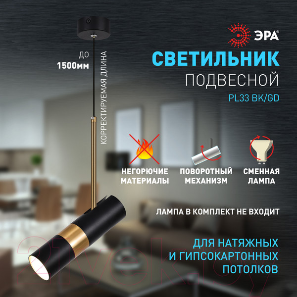 Изображение товара Потолочный светильник ЭРА PL33 BK/GD MR16 GU10 / Б0061382 (черный/золото)
