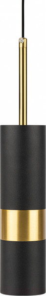 Изображение товара Потолочный светильник ЭРА PL33 BK/GD MR16 GU10 / Б0061382 (черный/золото)