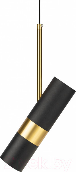 Изображение товара Потолочный светильник ЭРА PL33 BK/GD MR16 GU10 / Б0061382 (черный/золото)