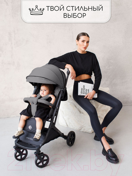 Изображение товара Детская прогулочная коляска Amarobaby Airy / AB23-10AIRY/11 (серый)