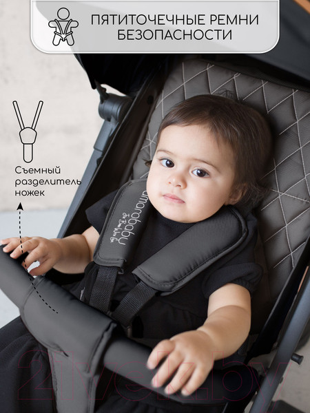 Изображение товара Детская прогулочная коляска Amarobaby Airy / AB23-10AIRY/09 (черный)