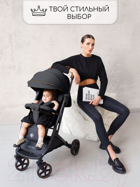 Изображение товара Детская прогулочная коляска Amarobaby Airy / AB23-10AIRY/09 (черный)