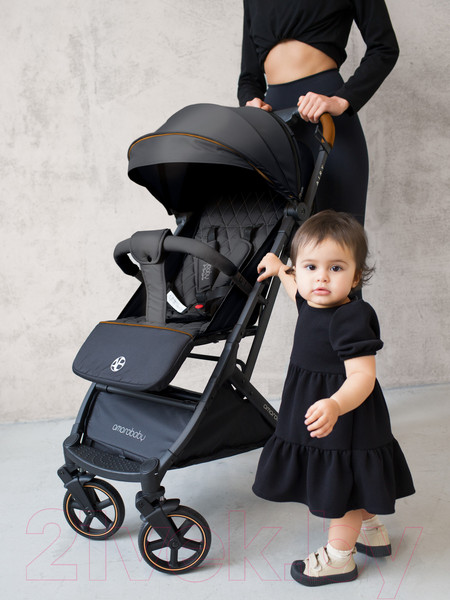 Изображение товара Детская прогулочная коляска Amarobaby Airy / AB23-10AIRY/09 (черный)