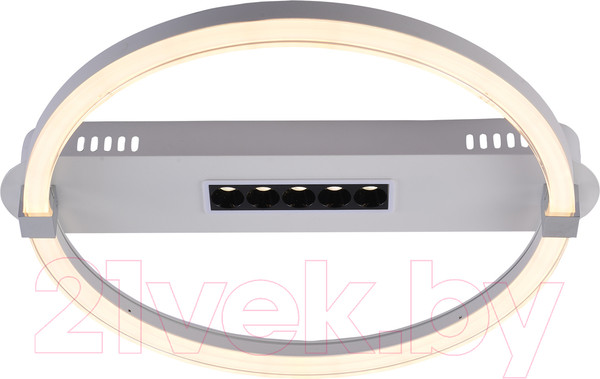 Изображение товара Потолочный светильник ESCADA Aspect 10253/1LED