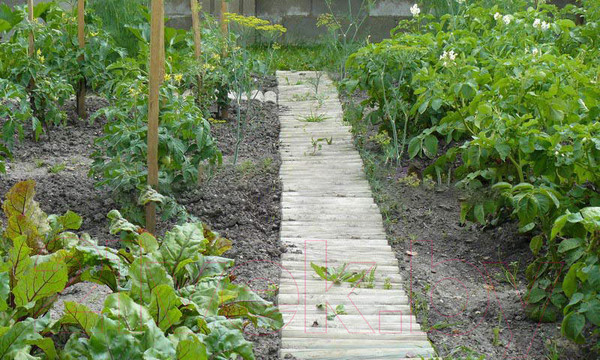 Изображение товара Изгородь декоративная Массив-Древ Рольборд D50x400x2000