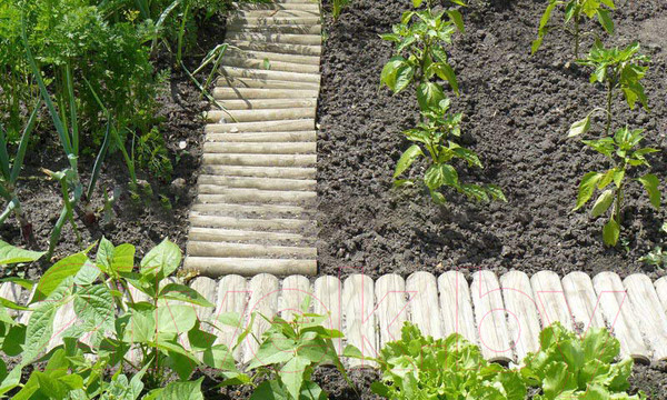 Изображение товара Изгородь декоративная Массив-Древ Рольборд D70x200x2500