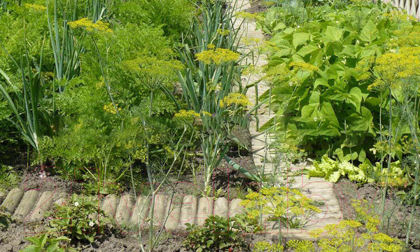 Изображение товара Изгородь декоративная Массив-Древ Рольборд D70x300x2500