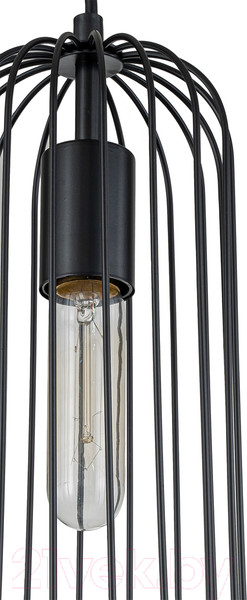 Изображение товара Потолочный светильник ESCADA Phoenix 10198/1S