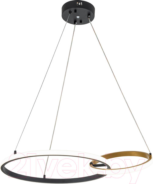 Изображение товара Потолочный светильник ESCADA Relation 10230/2LED (Black/Gold)