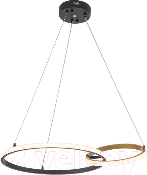 Изображение товара Потолочный светильник ESCADA Relation 10230/2LED (Black/Gold)