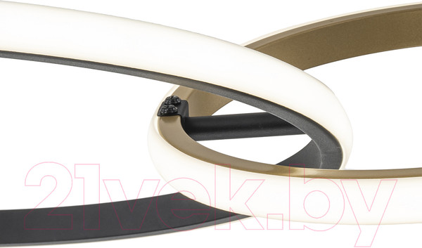 Изображение товара Потолочный светильник ESCADA Relation 10230/2LED (Black/Gold)